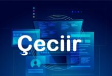 Çeciir