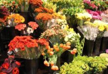 Wegmans Flowers