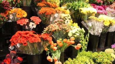 Wegmans Flowers