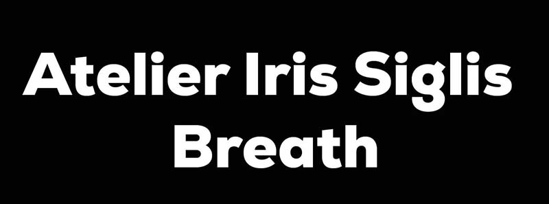 Tips and Tricks for Using Atelier Iris Siglis Breath