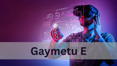 gaymetu e