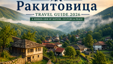 Ракитовица
