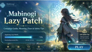 Mabinogi Lazy Patch